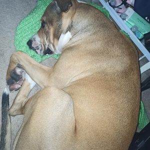 Meet your Posher, Christina